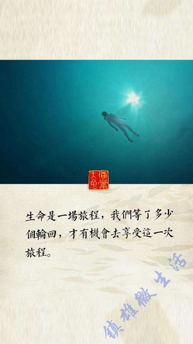 人生不易,我有时候在想,到底是怎样的结局才配得上这一路的颠沛流离