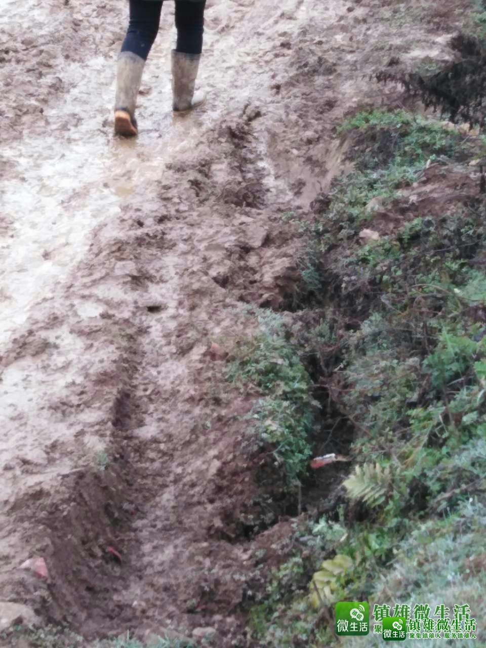 母享镇阳光村文才地,国家一级水泥公路.